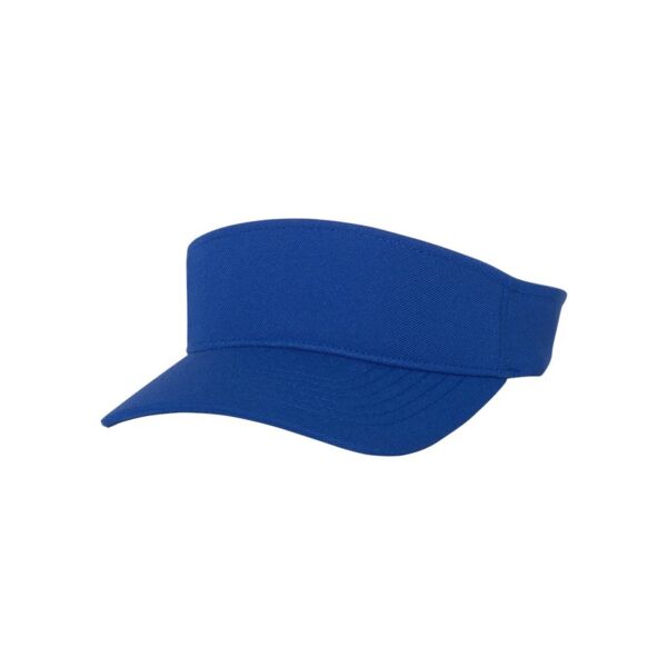 110® Visor Vignette